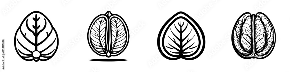 Poster various leaf and nut illustrations with distinct designs showcasing natural patterns and textures