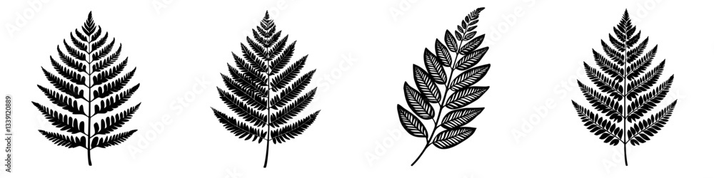 Poster beautiful collection of detailed fern leaf illustrations showcasing unique patterns and textures in 