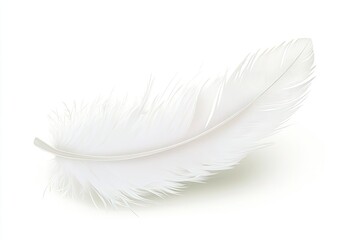 Soft white feather