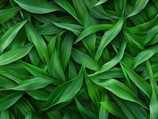 Fototapeta premium Lush Green Foliage Background Texture Overlapping Leaves Pattern