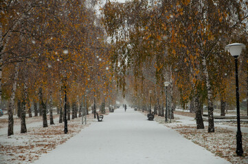 autumn in the park