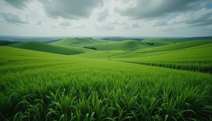 Rolling green hills scenic landscape nature photography open fields aerial view tranquility