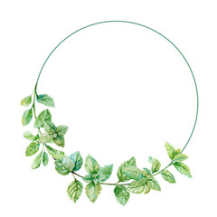 Fresh green sprigs of mint watercolor hand drawn illustration culinary herb wreath. Isolated on white background leaves and branches round frame for food, rustic, eco designs, gardening, cards