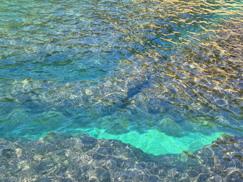 Clear sea water with dense seaweed.