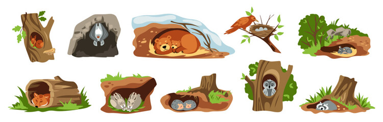 Animal on tree. Forest bird nest. Hollow as owl house. Nature creatures sleep in burrows. Woodland cave. Foxes or bears dream in dens. Squirrel in trunk hole. Vector mammal homes set