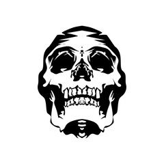 Cool skull logo. Skull vector illustration.