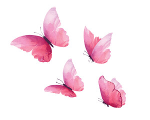 pink watercolor hand drarwn