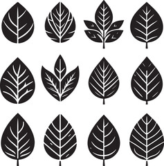 Fototapeta premium Black and white leaf icon silhouette vector set
