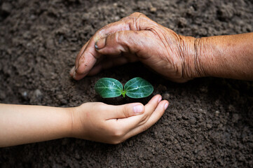 Nurturing life planting a seed with care garden soil nature close-up growth concept