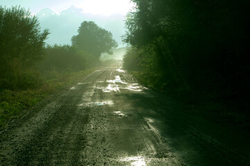 road in the forest