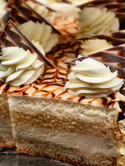 Layered Tiramisu Dessert Creamy Texture Elegant Presentation Professional Food Photography Gourmet Patisserie Premium Baked Treat