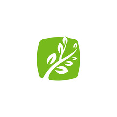 Simple Green Square Logo With Branch And Leaves