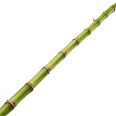 Fototapeta premium Bamboo trunk stick isolated on transparent background
