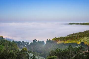 Brume montant de la vallée formant une mer de nuages et envahissant les forêts de pins et d'eucalyptus de la montagne Serra da Estrela au Portugal au lever du jour en été.
