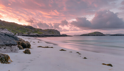 Explore the wild beauty of majestic nature