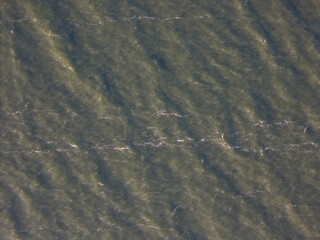 Calm water surface with gentle ripples reflecting sunlight during midday