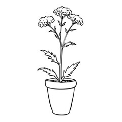 an ink drawing of a potted plant with detailed leaves and blooming flowers 