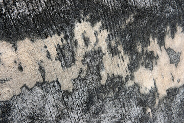 texture of the stone