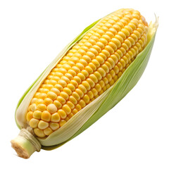 Corn isolated on transparent background