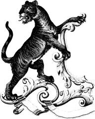 Obraz premium Vintage Heraldic Shield Illustrations