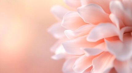 Obraz premium Soft pastel floral texture, gentle pink petals blending with light hues, ideal for backgrounds or wedding themes.