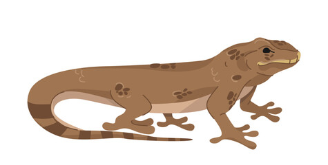 A brown lizard with dark spots and a striped tail, depicted in a flat vector style on a white background. Concept of wildlife, reptiles, and exotic animals. Vector illustration