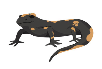 A black and orange salamander with a smooth body and long tail, depicted in a simple and clean vector style on a white background. Concept of wildlife and amphibians. Vector illustration