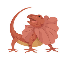 A frilled lizard with an open mouth, showcasing its distinctive frill. The illustration is in a cartoon style on a white background. Concept of wildlife and reptiles. Vector illustration