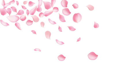 Rose petals or sakura flying petals, romantic background with realistic pink cherry flower petals flow or falling motion. Love, romance, floral spring season,cherry blossom
