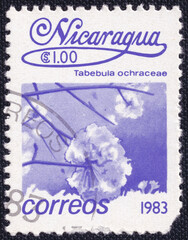 The Nicaraguan postage stamp from 1983 features Tabebuia ochracea, a tropical tree known for its...