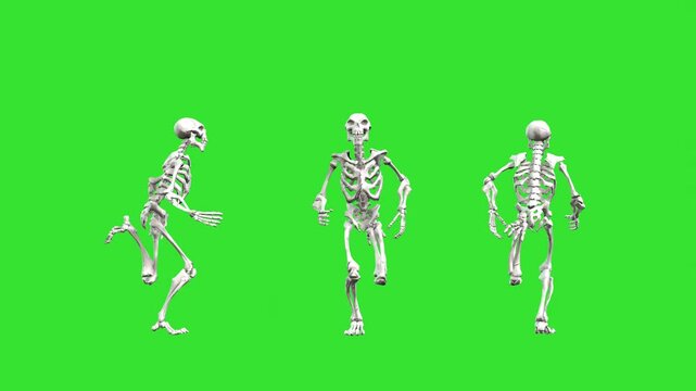 Running skeleton front back and side view green screen or chroma key video clip animation