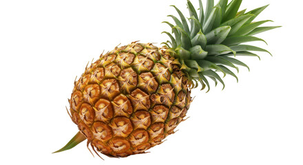 A single pineapple with green leaves isolated against a stark black background in studio shot