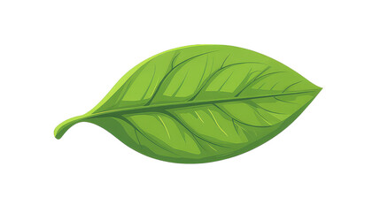 Fototapeta premium a vibrant green leaf with a simple design. The smooth shading and stylized veins give it a clean and modern aesthetic. on white background