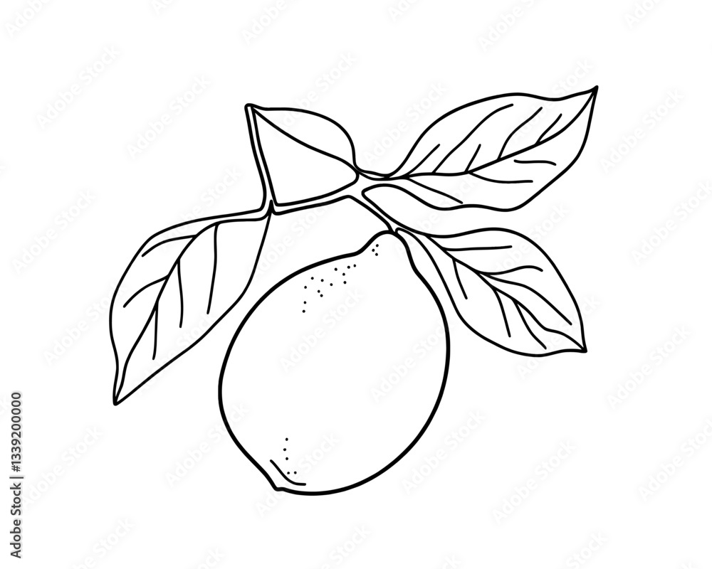 Poster a continuous line drawing of a lemon with leaves is set against a white background in a modern black