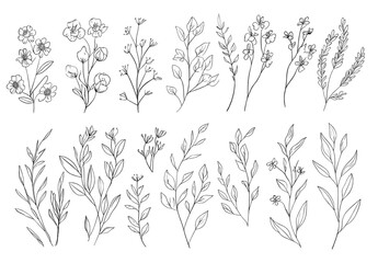 Modern Minimal Floral Element Collection featuring Hand Drawn Abstract Line Art Flowers Set, a Contemporary Monochrome Aesthetic Creative Set