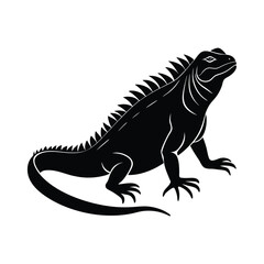 iguana on white background vector illustration