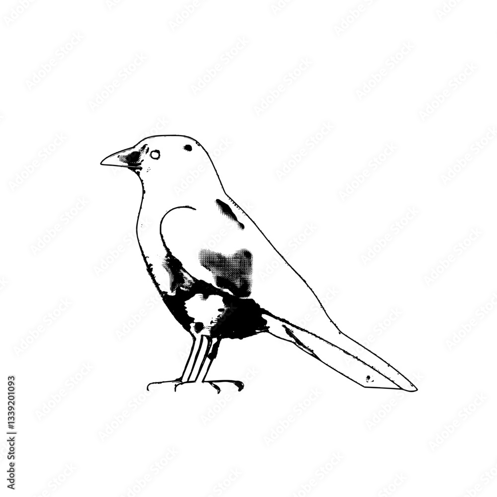 Poster a minimalist contour illustration of a raven in a continuous one-line drawing style, presented in mo
