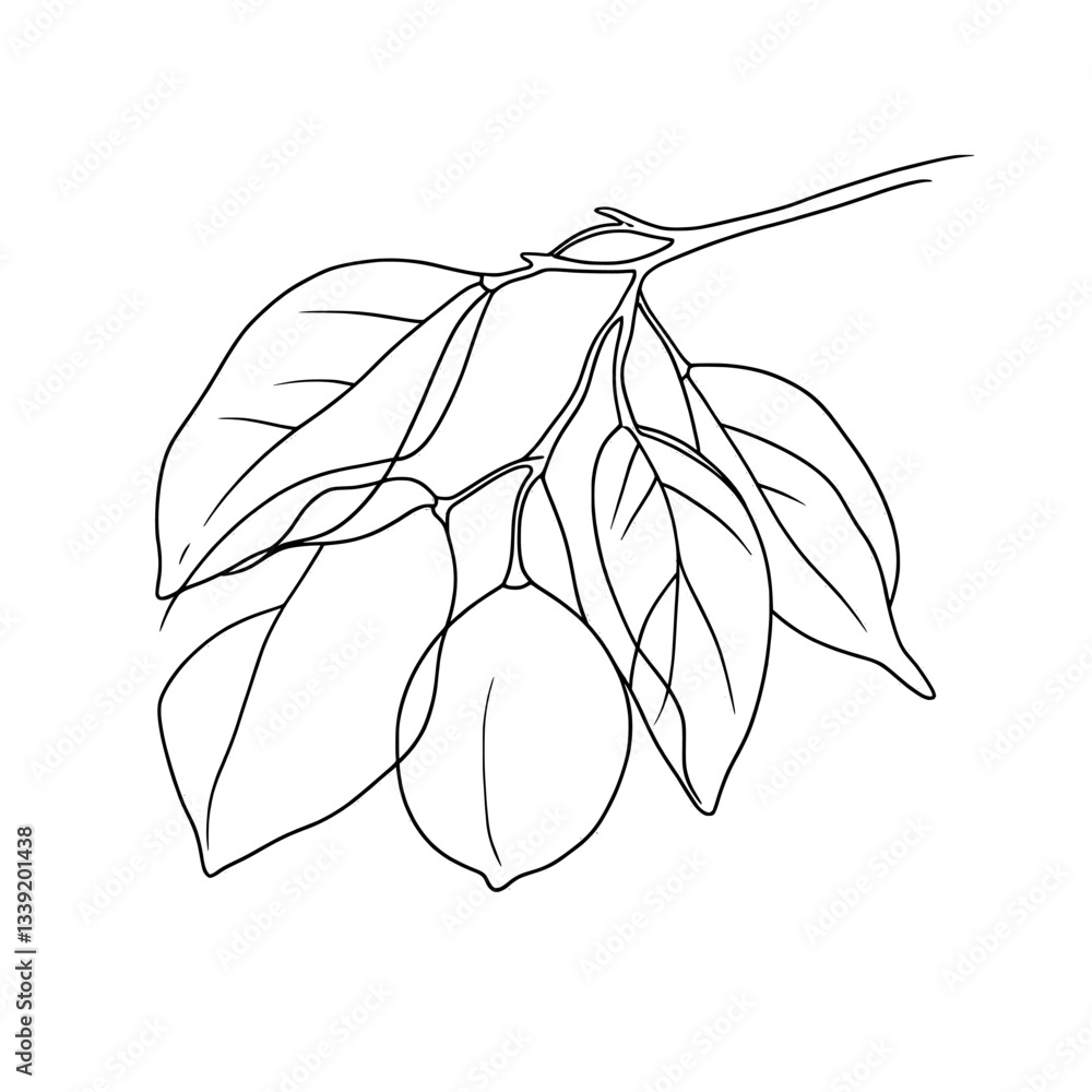 Poster a minimalist drawing of a lemon branch with leaves is depicted in a continuous line, isolated on a w