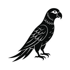 parrot silhouette vector illustration