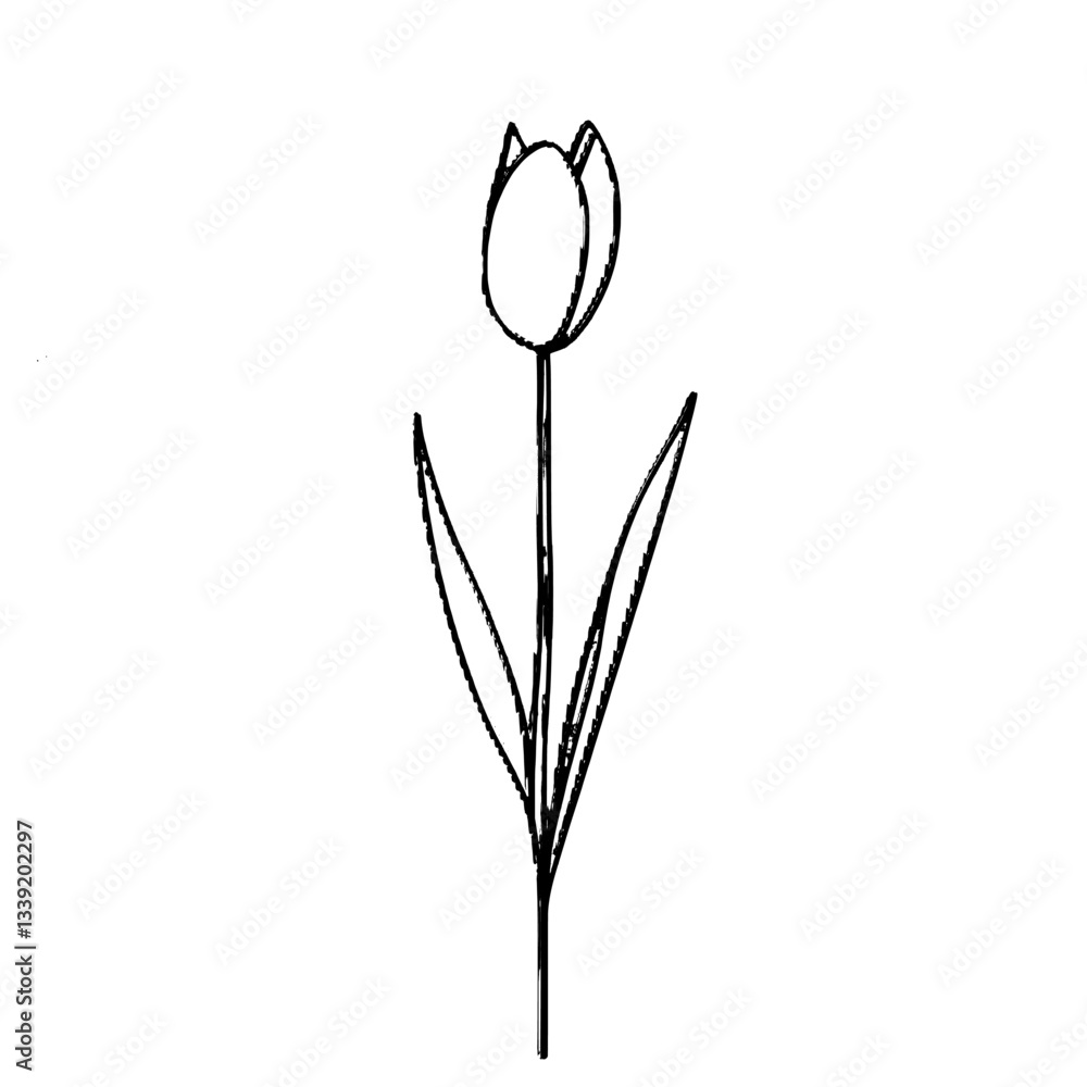 Poster a minimalist botanical drawing of a tulip flower is presented in a continuous line sketch isolated o