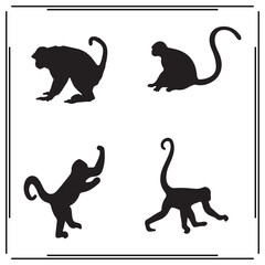 Monkey silhouette, Monkey illustration ,Monkey clipart, Monkey vector ,Monkey icon , black Monkey ,Monkey illustration on white background, Monkey vector illustration ,