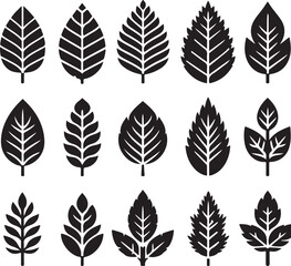 Black and white leaf icon silhouette vector set