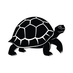 turtle vector illustration