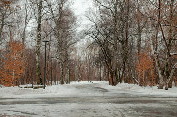 winter in the park