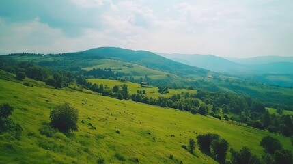 Fototapeta premium Stunning Aerial View of Lush Green Mountain Valley Landscape