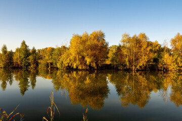 Fototapeta premium River landscape on a sunny autumn morning. Beautiful autumn colors along the river. The serenity and tranquility of an autumn morning on the banks of a narrow rural river.