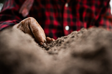 Cultivating soil a farmer's hands at work in the field close-up perspective agriculture connection with nature