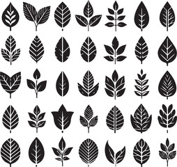 Fototapeta premium Black and white leaf icon silhouette vector set
