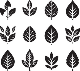 Fototapeta premium Black and white leaf icon silhouette vector set