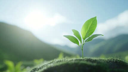 Green plant sprouting, fresh young leaves emerging from fertile soil, symbolizing growth and renewal in a serene landscape.